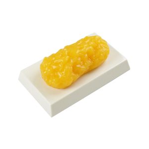 1LB Fat Replica Model with Base