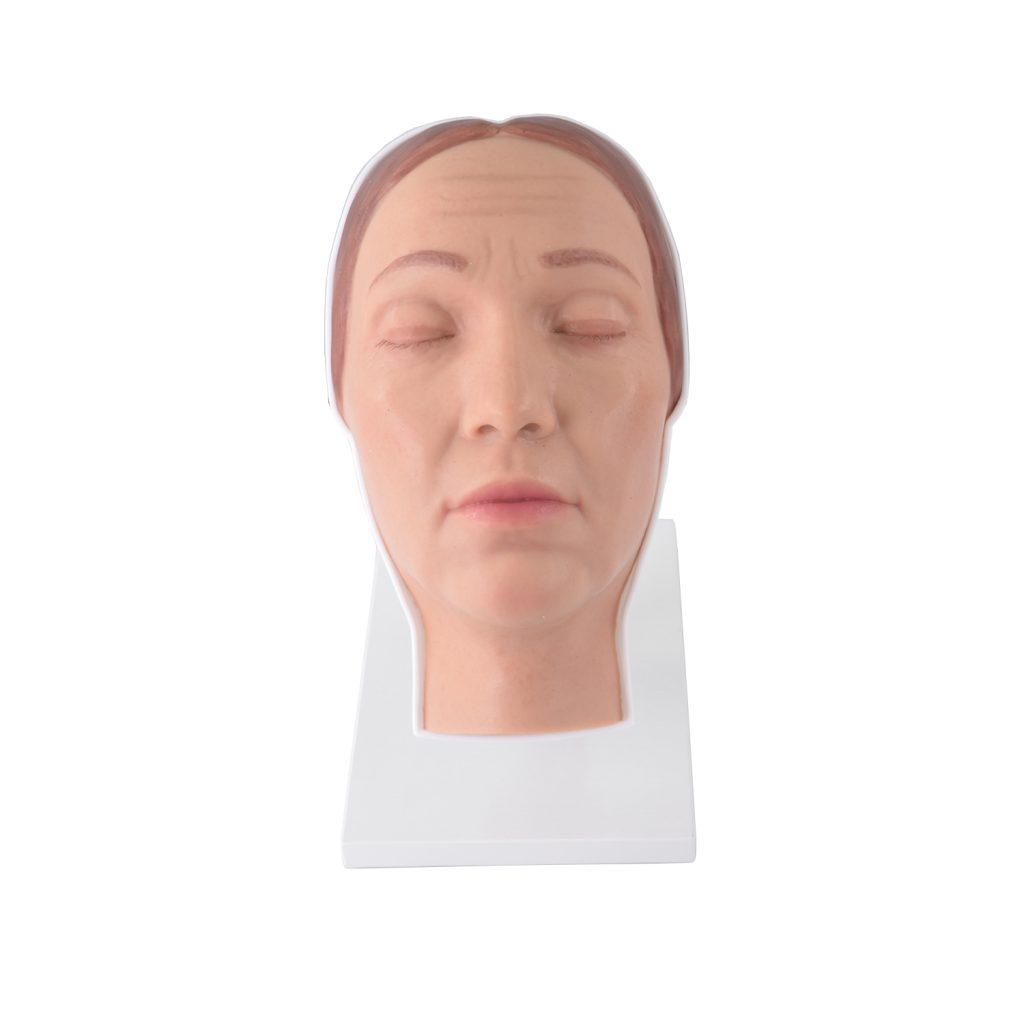 Facial Injection Training Model