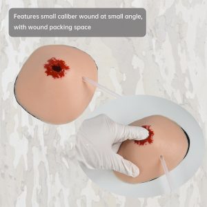 stop bleeding training model