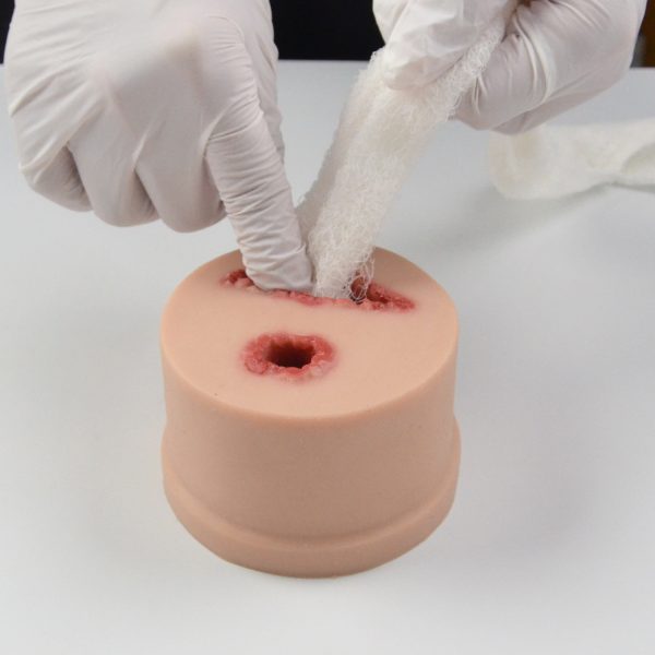 Compact 2 IN 1 Wound Tamponing Multitask Trainer - Image 3