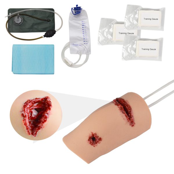 Knee Wound Model with Simulated Bone