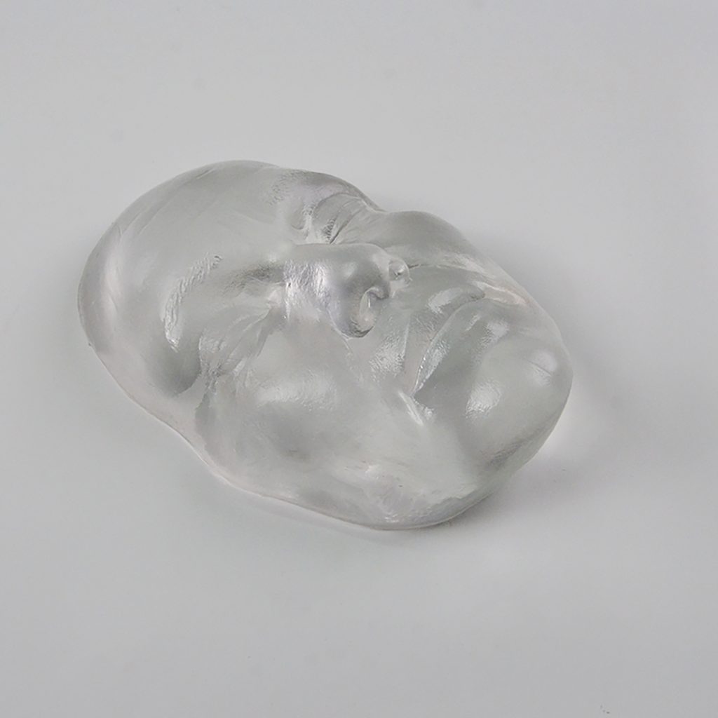 1. Clear Facial Injection Mannequin Head Model — Best for Injection Training (2025 Winner)