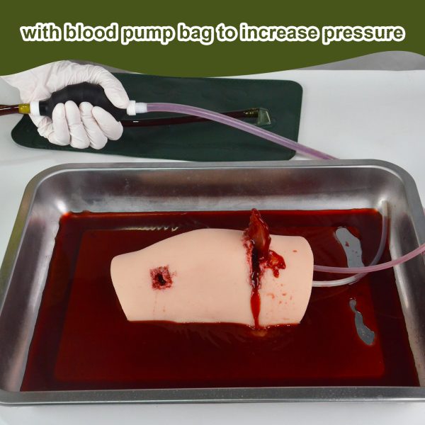 Knee Wound Model with Simulated Bone - Image 4