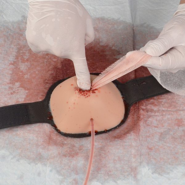 Wearable Leg Wound Packing Trainer - Image 3