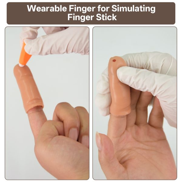 blood glucose testing finger model