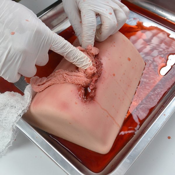 Leg Laceration Wound Packing Training Kit - Image 5