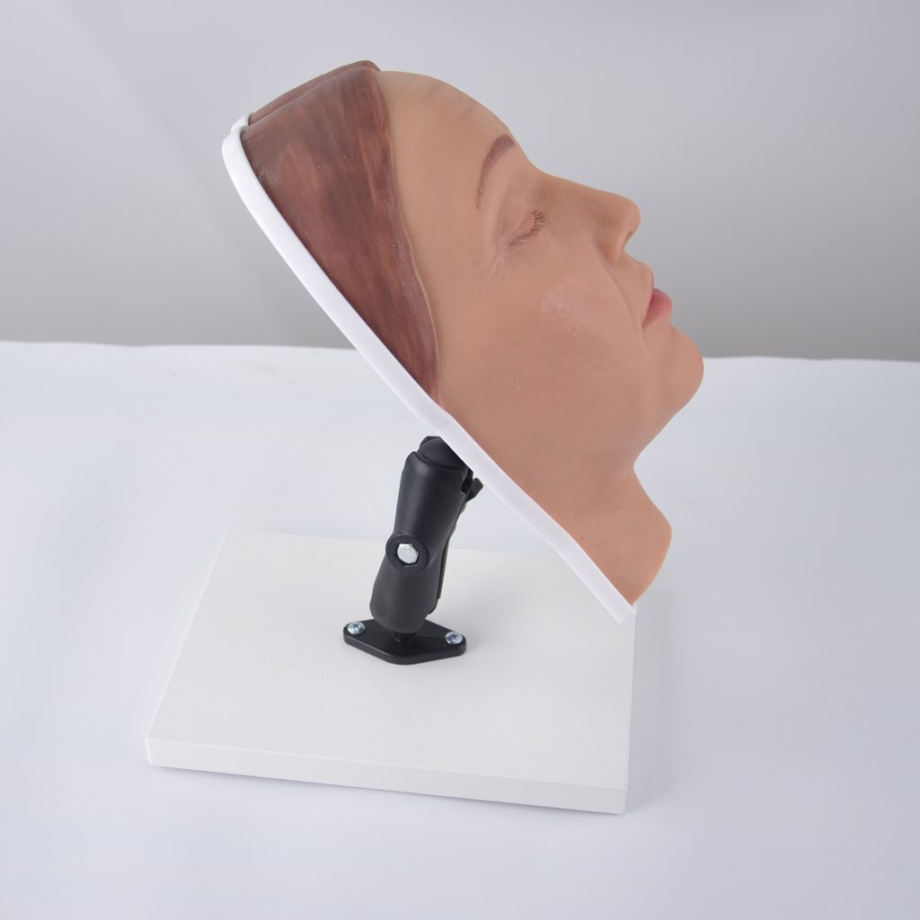 1. Premium Facial Injection Training Model – $199 (Editor’s Choice)