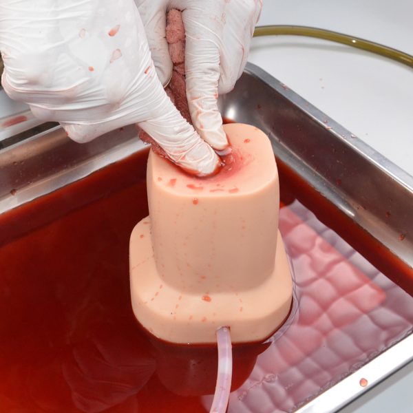 Deep Gunshot Wound Pack Trainer - Image 5