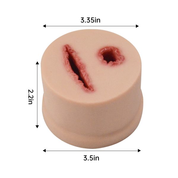 Compact 2 IN 1 Wound Tamponing Multitask Trainer - Image 5
