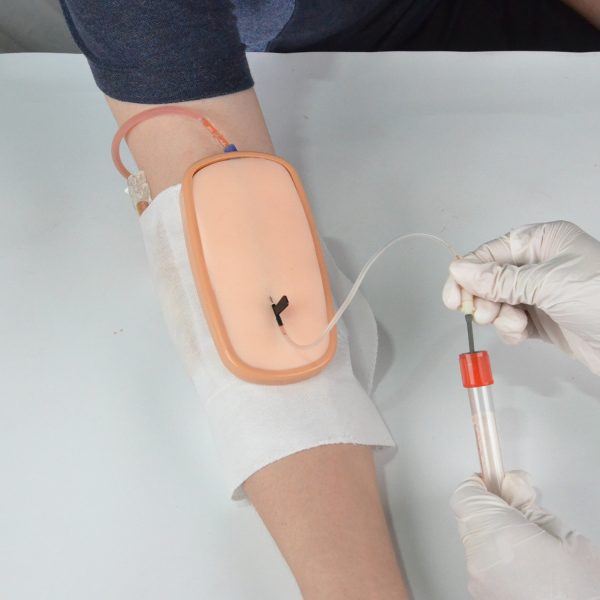 Wearable IV Practice Kit for Venepuncture and Catheter Access Practice - Image 6