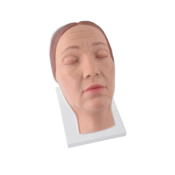beauty injection mannequin head
