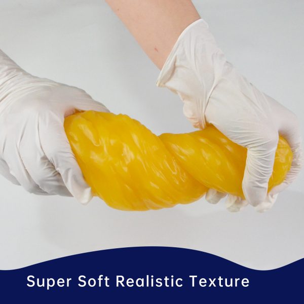 1LB Fat Replica Model with Base - Image 4