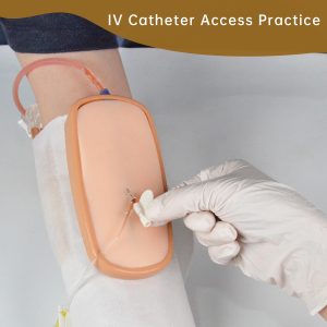 IV catheter placement practice kit