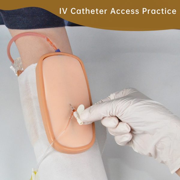 IV catheter placement practice kit