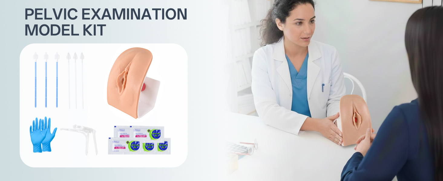 pelvic exam model