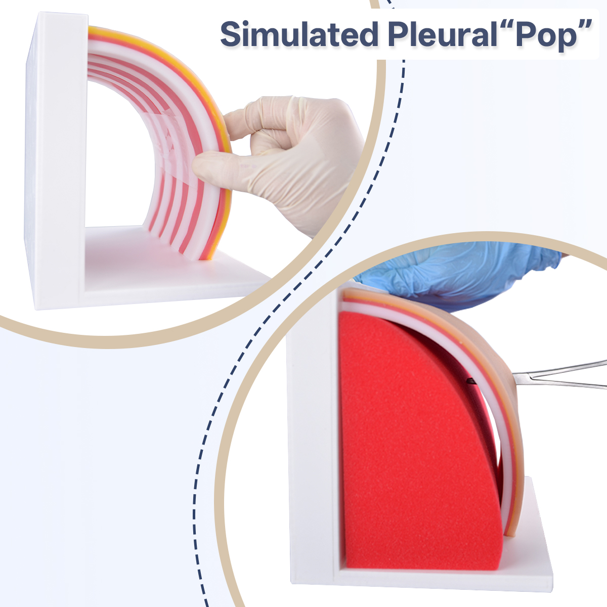 Pneumothorax Haemothorax Chest Drain Model With Replaceable Skin Pads - Image 2