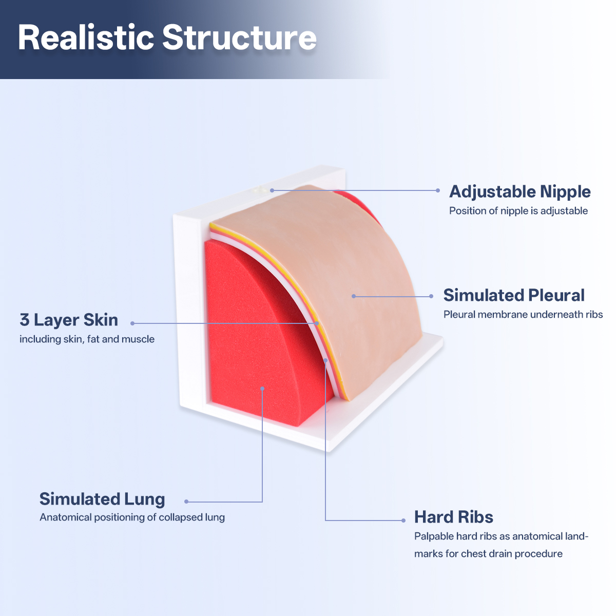Pneumothorax Haemothorax Chest Drain Model With Replaceable Skin Pads - Image 3