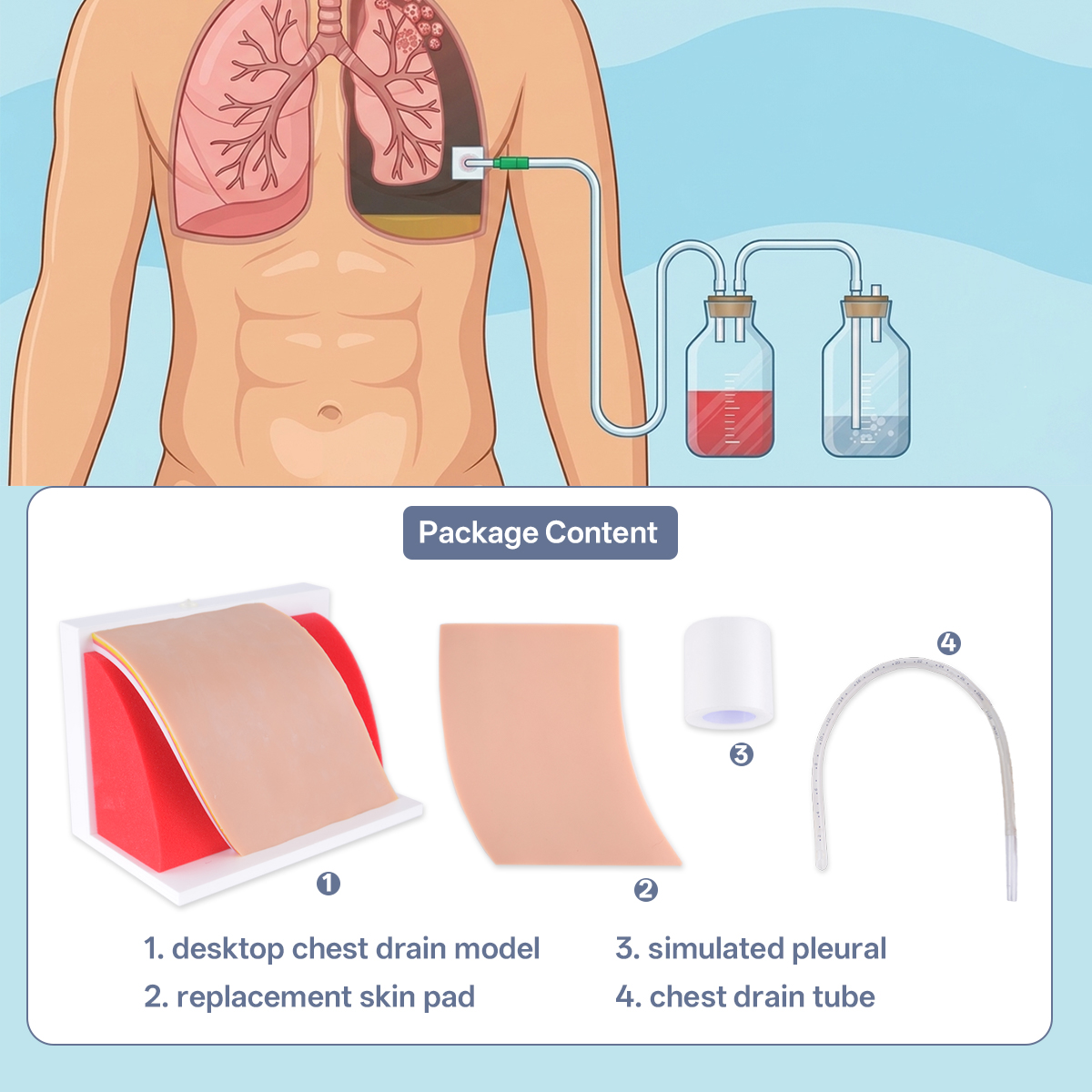 Pneumothorax Haemothorax Chest Drain Model With Replaceable Skin Pads - Image 6