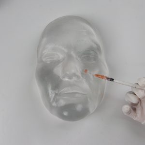 Clear Facial Injection Mannequin Head Model