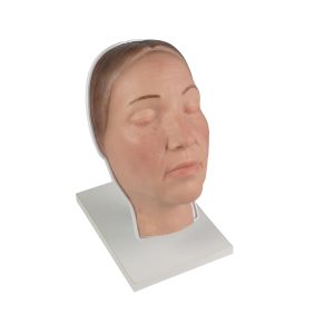 Dermal Injection Training Head Model