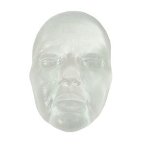Clear Facial Injection Mannequin Head Model