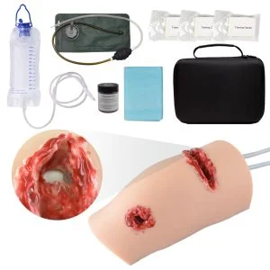 wound model with bone