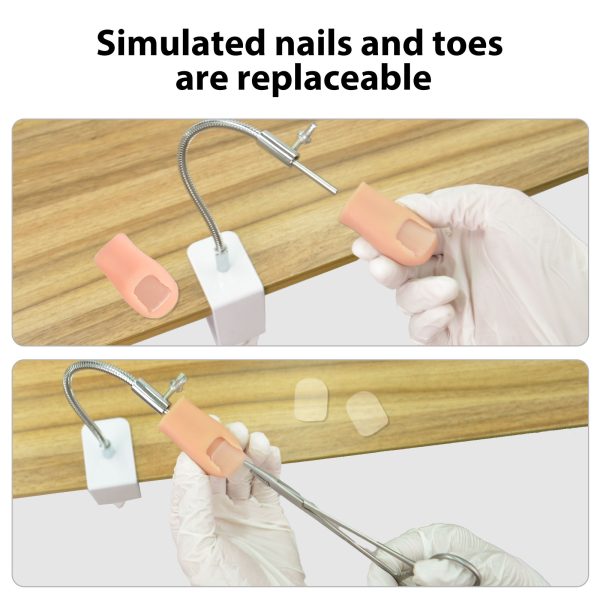 Ingrown Toenail Removal Practice Kit - Image 3
