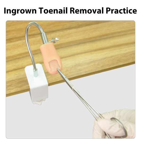 Ingrown Toenail Removal Practice Kit - Image 4