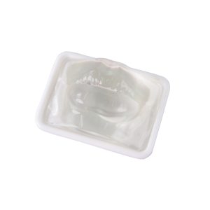 clear lip model