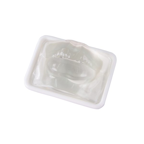clear lip model