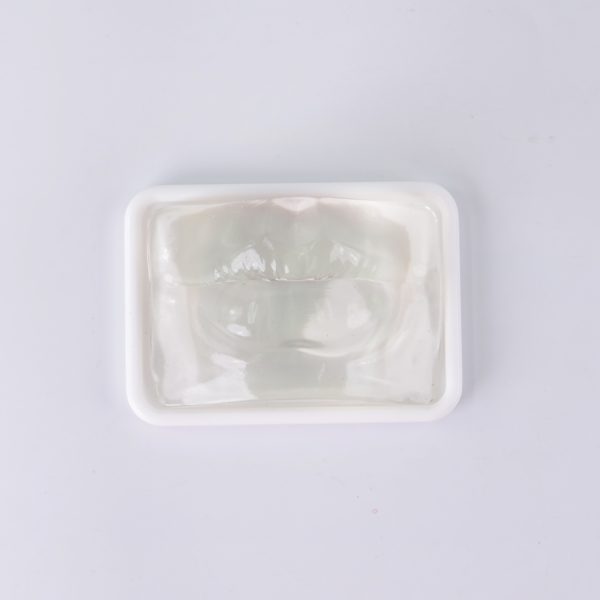 lip augmentation model