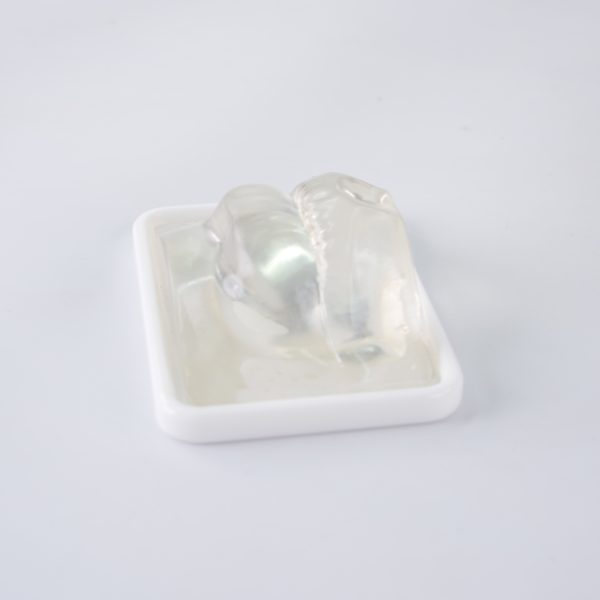 Clear Lip Enhancement Model For Training - Image 4