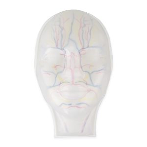 facial injection mannequin