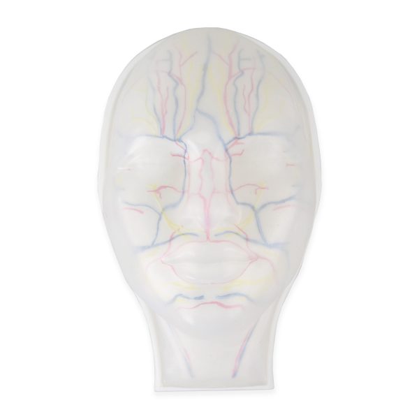 facial injection mannequin
