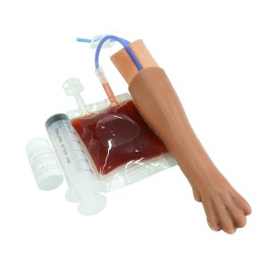 Canine IV Training Model