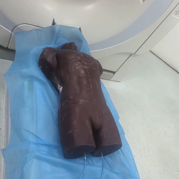 Top 6 Medical 3D Model Suppliers in 2025