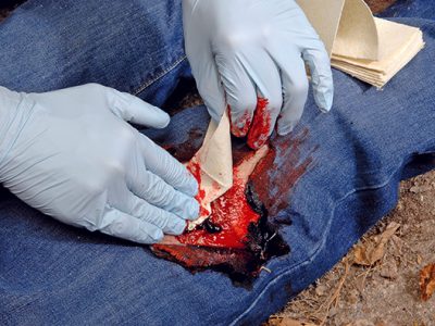 7 Best Wound Packing Trainer Models in 2025