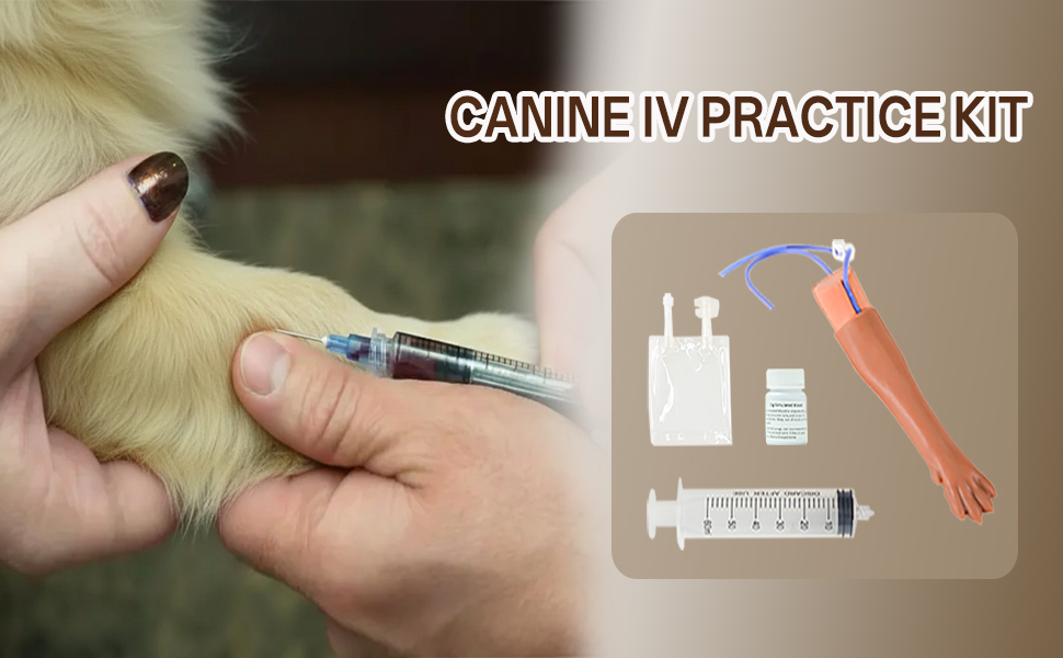 canine-IV-practice