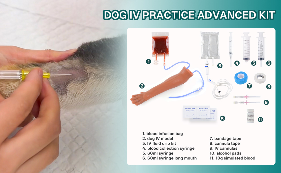 dog IV practice kit