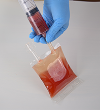 how to set up dog IV practice kit