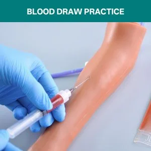 canine blood draw practice canine blood draw practice