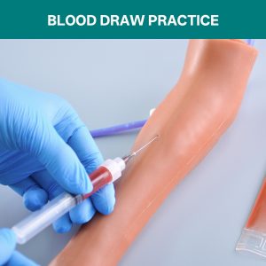 canine blood draw practice