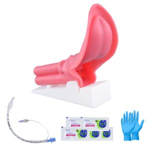 intubation-manikin-simulator