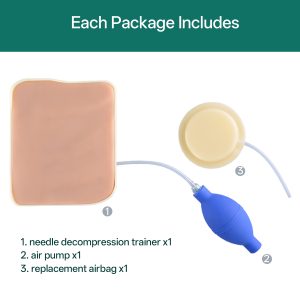 Needle-Decompression-Simulator