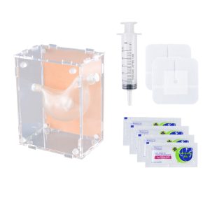 Gastrostomy Training Model