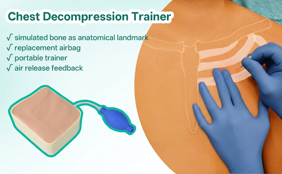 Needle chest decompression simulator for tension pneumothorax