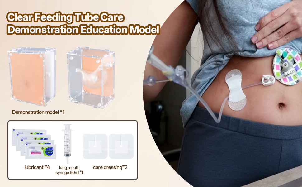 Gastrostomy G-tube care training model with transparent stand