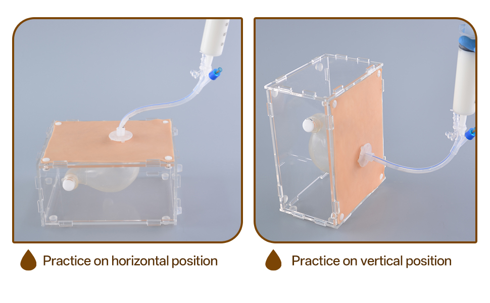 G-tube care model showing tube positioning