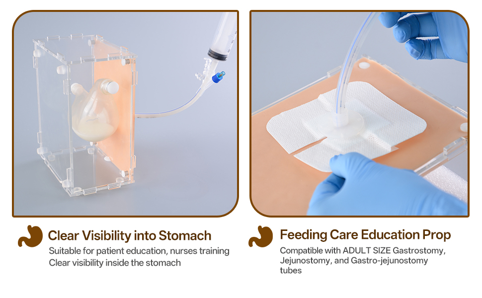 Gastrostomy tube care training model accessories