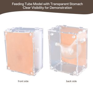 feeding tube care model